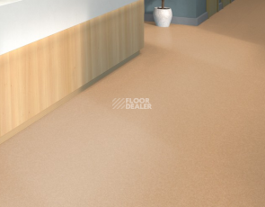 Tarkett iq Melodia 2620 фото 2 | FLOORDEALER